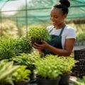 Exploring the Economic Benefits of Plant Cultivation