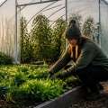 Extending Your Growing Season: Effective Strategies for Plant Cultivation