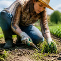 Effective Strategies for Managing Weeds in Plant Cultivation