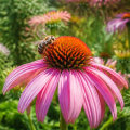Attracting Beneficial Insects for Thriving Plant Cultivation