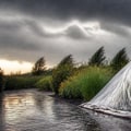 Essential Strategies for Protecting Your Plants from Extreme Weather