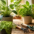 Essential Tools for Successful Plant Cultivation